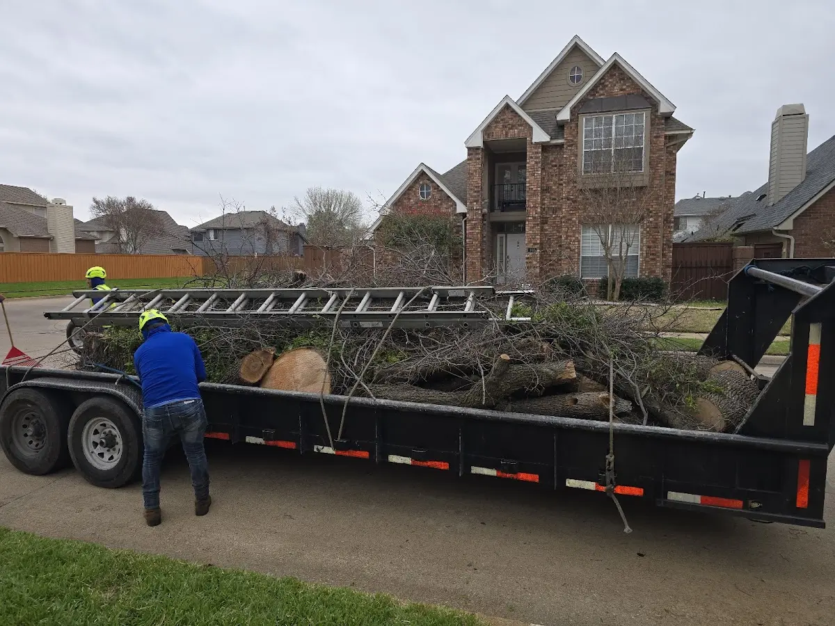 Expert Tree Fertilization with proper safety equipment in Pequabuck